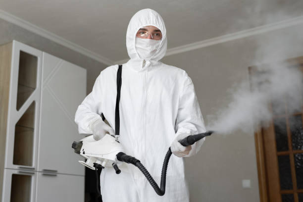 Best Mold Remediation for Vacation Homes  in USA